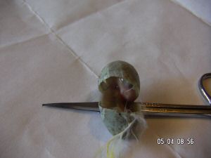 02 08 morte embrionale.jpg